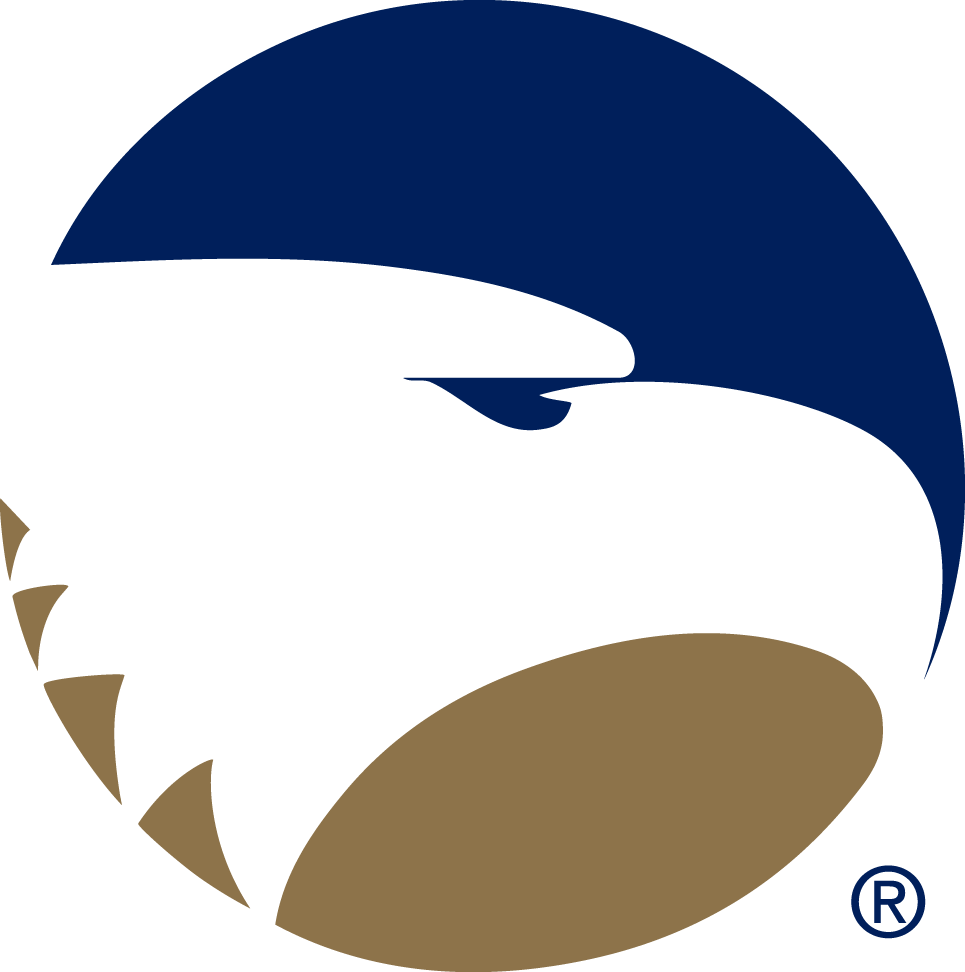 Georgia Southern Eagles 2004-Pres Alternate Logo diy iron on heat transfer v3